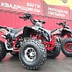 Квадроцикл PROMAX SPAWN 190 PRO (LIMITED EDITION)