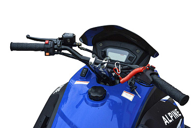 Снегоход MOTOLAND (МОТОЛЕНД) ALPINE 200