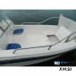 Стеклопластиковый катер Wyatboat-430 DCM (тримаран)
