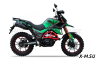 Мотоцикл турэндуро ROCKOT HOUND 250 LUX (зеленый, ЭПТС)