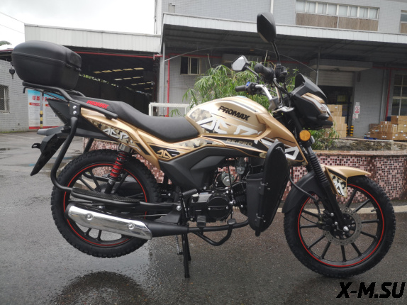 Мопед PROMAX ALPHA RS-PRO 150 (49)