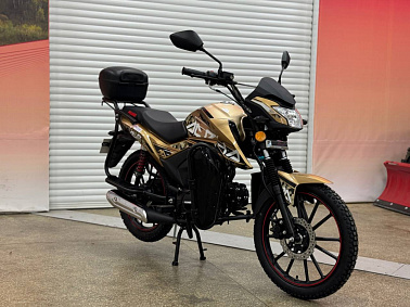 Мопед PROMAX ALPHA RS-PRO 150 (49)