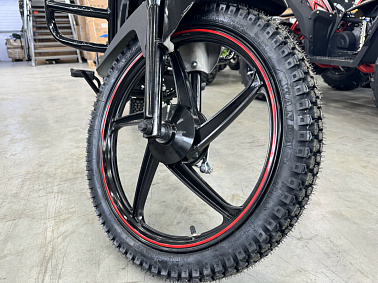 Мопед PROMAX ALPHA TOURIST 150 (49)